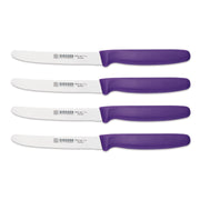 giesser steakmessen paars