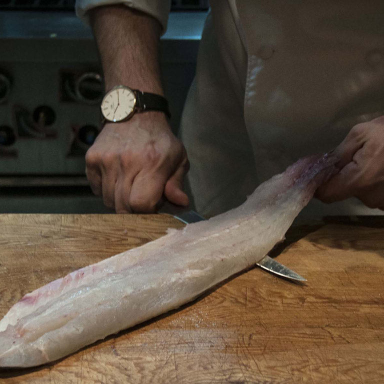 KOTAI Fileermes 20 cm